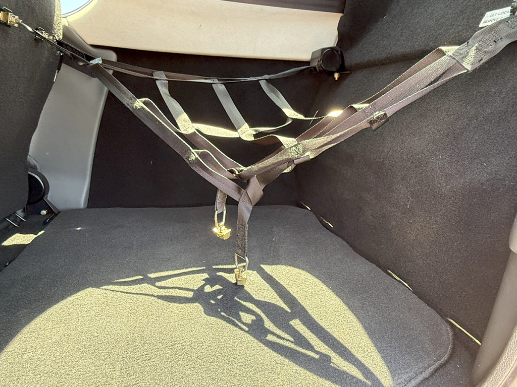 N89LF - Interior 14