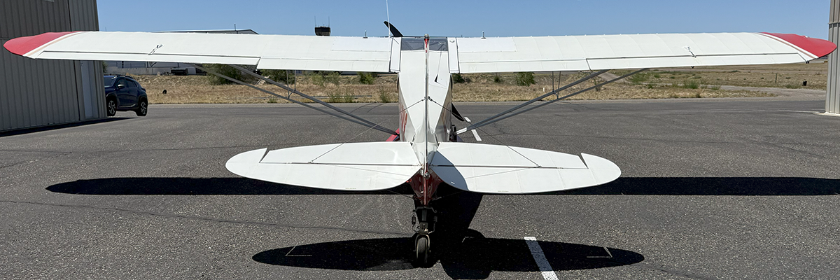N115NS - short wide back N115NS - short wide back