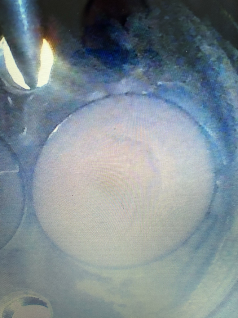 N2018M - borescope 01