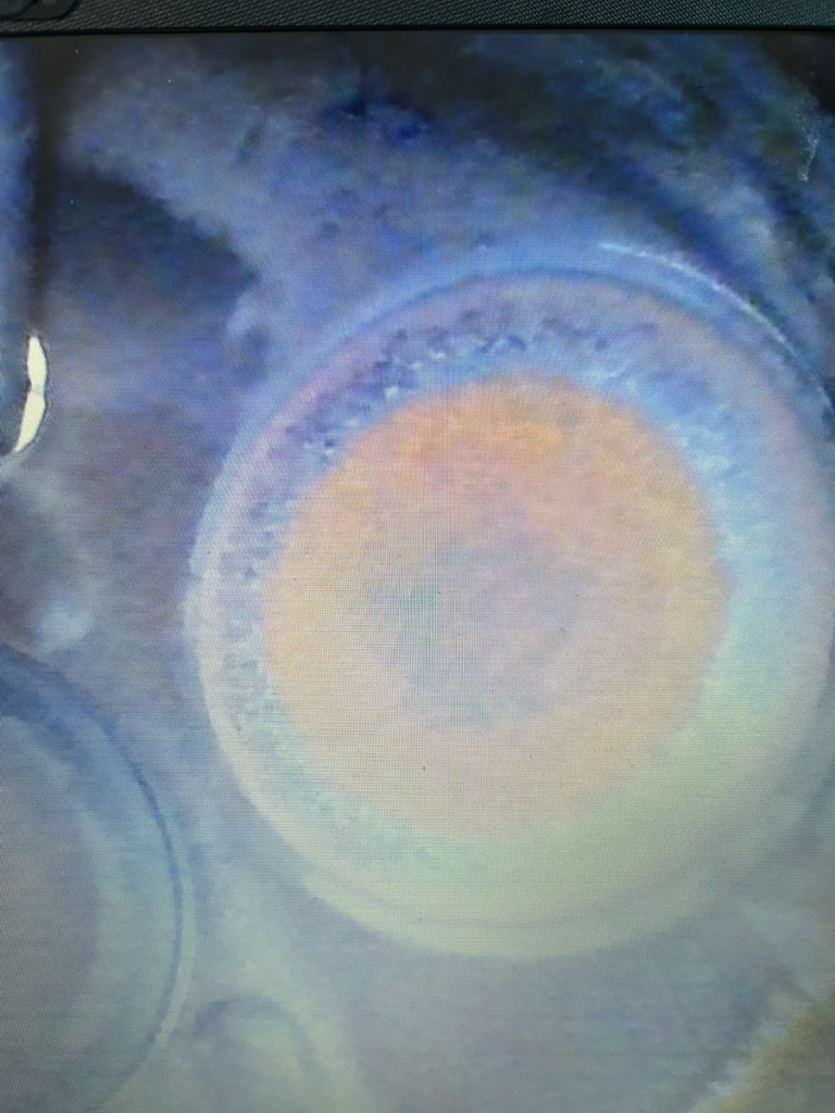 N2018M - borescope 03