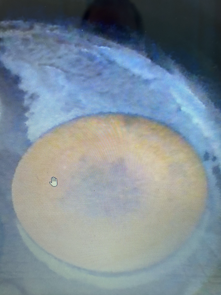 N2018M - borescope 04