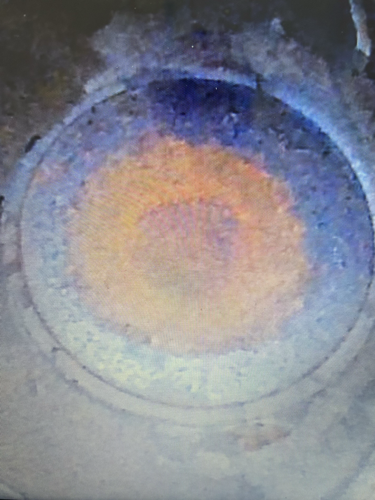 N2018M - borescope 05