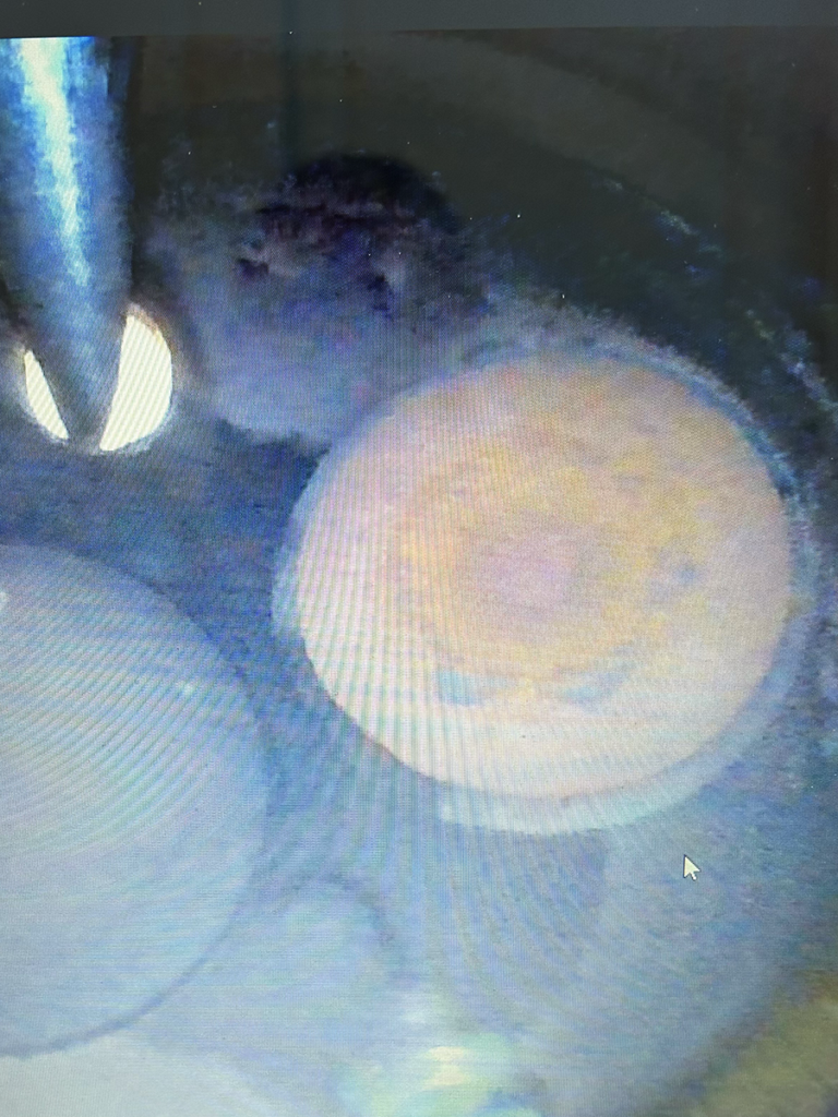 N2018M - borescope 06